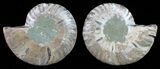 Polished Ammonite Pair - Deep Crystal Pockets #59431-1